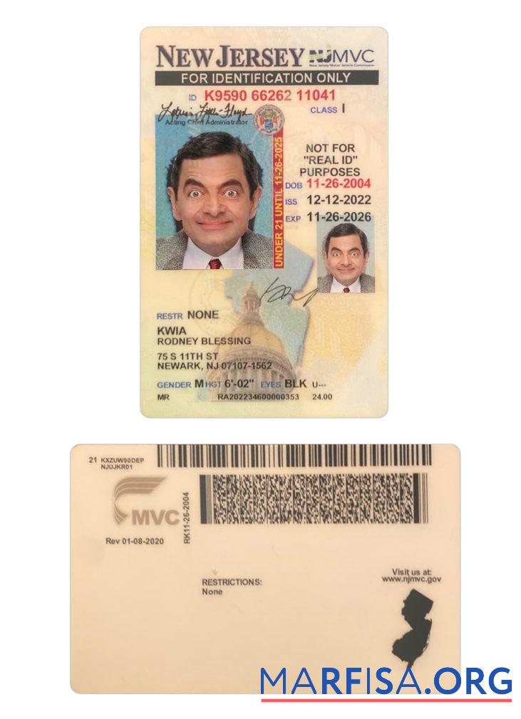 Downloadable USA New Jersey Under 21 ID Card real example